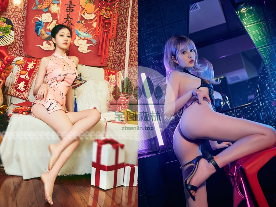 网红美女模特年年Nnian(真爱版)写真合集下载&汇总[127套-35.7G]-第4张-宅图森林写真资源合集下载