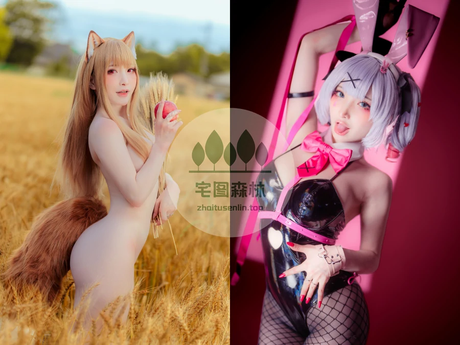 FantasyFactory小丁写真合集下载(真爱版)&汇总[118套-32.6G]-第4张-宅图森林写真资源合集下载